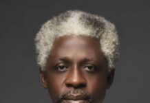 Wole Soyinka Culture and Art Centre – A Cardoso’s Extended Empire…